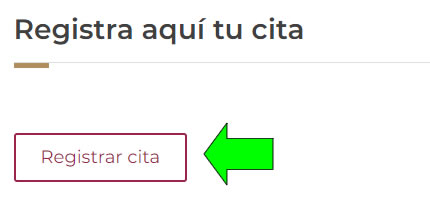 botón registrar cita sat méxico