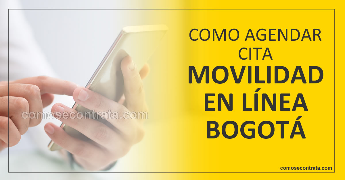 imagen de persona agendando citas para cómo agendar cita movilidad en línea bogotá, colombia